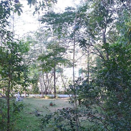 Sterling Nature Trails Dabhosa , Jawahar Birjpara Exterior foto