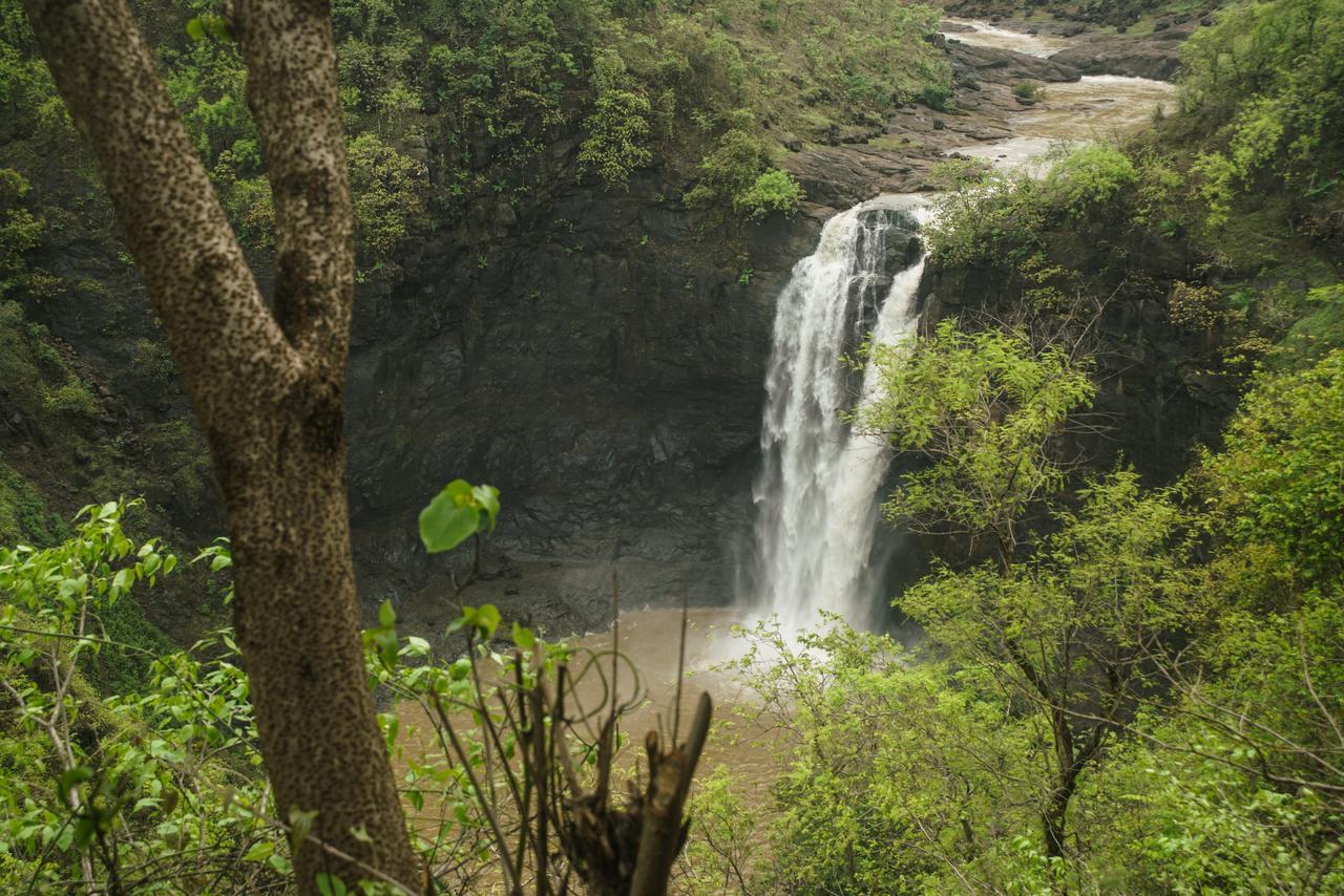 Sterling Nature Trails Dabhosa , Jawahar Birjpara Exterior foto
