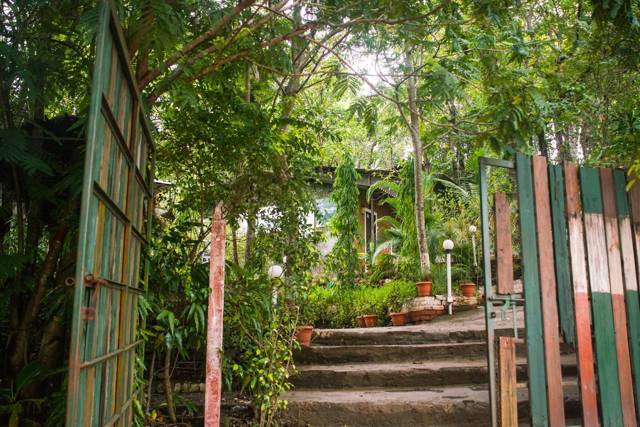 Sterling Nature Trails Dabhosa , Jawahar Birjpara Exterior foto