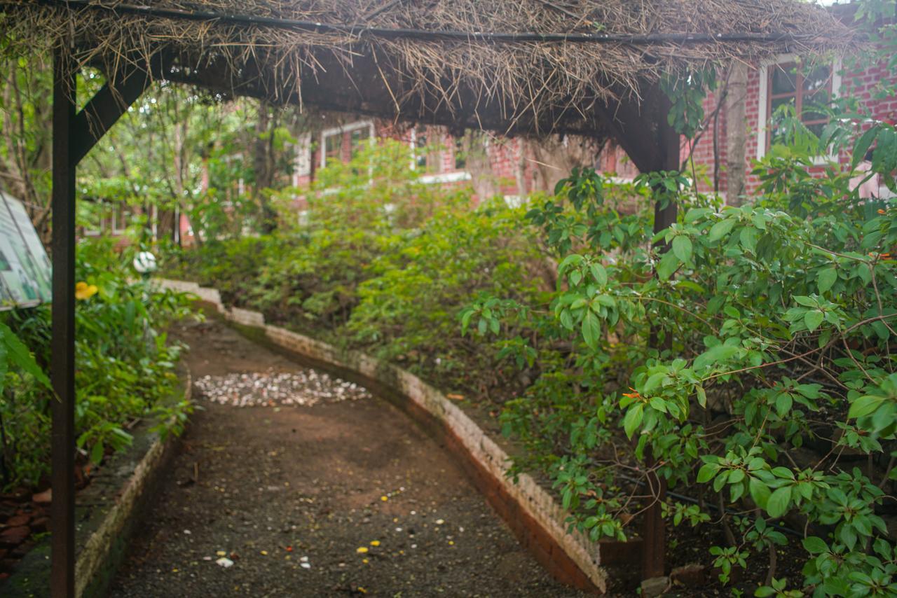 Sterling Nature Trails Dabhosa , Jawahar Birjpara Exterior foto